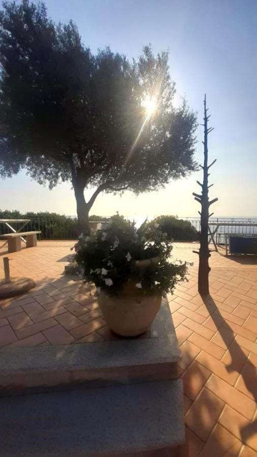 Hotel Turismo Rurale Villa Maria Caterina Cala Gonone Εξωτερικό φωτογραφία