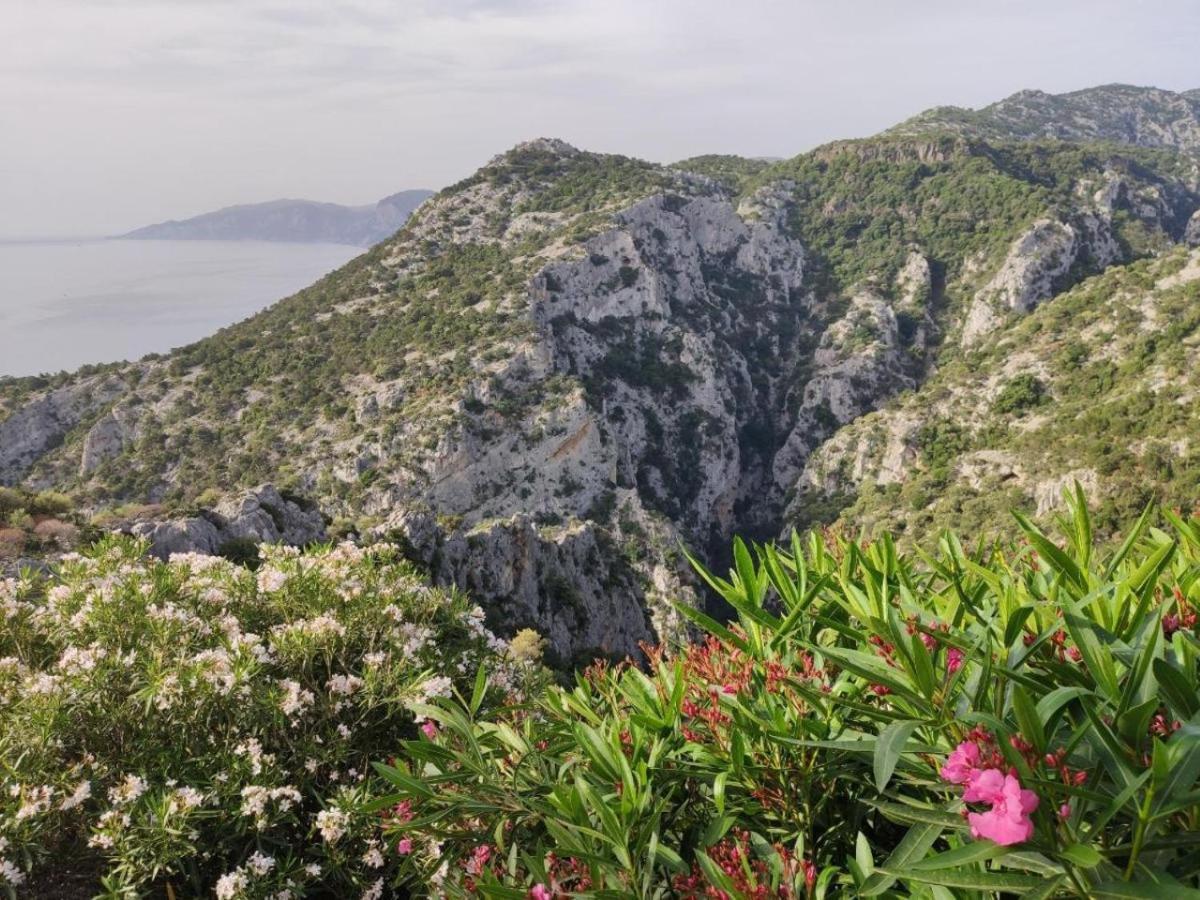 Hotel Turismo Rurale Villa Maria Caterina Cala Gonone Εξωτερικό φωτογραφία