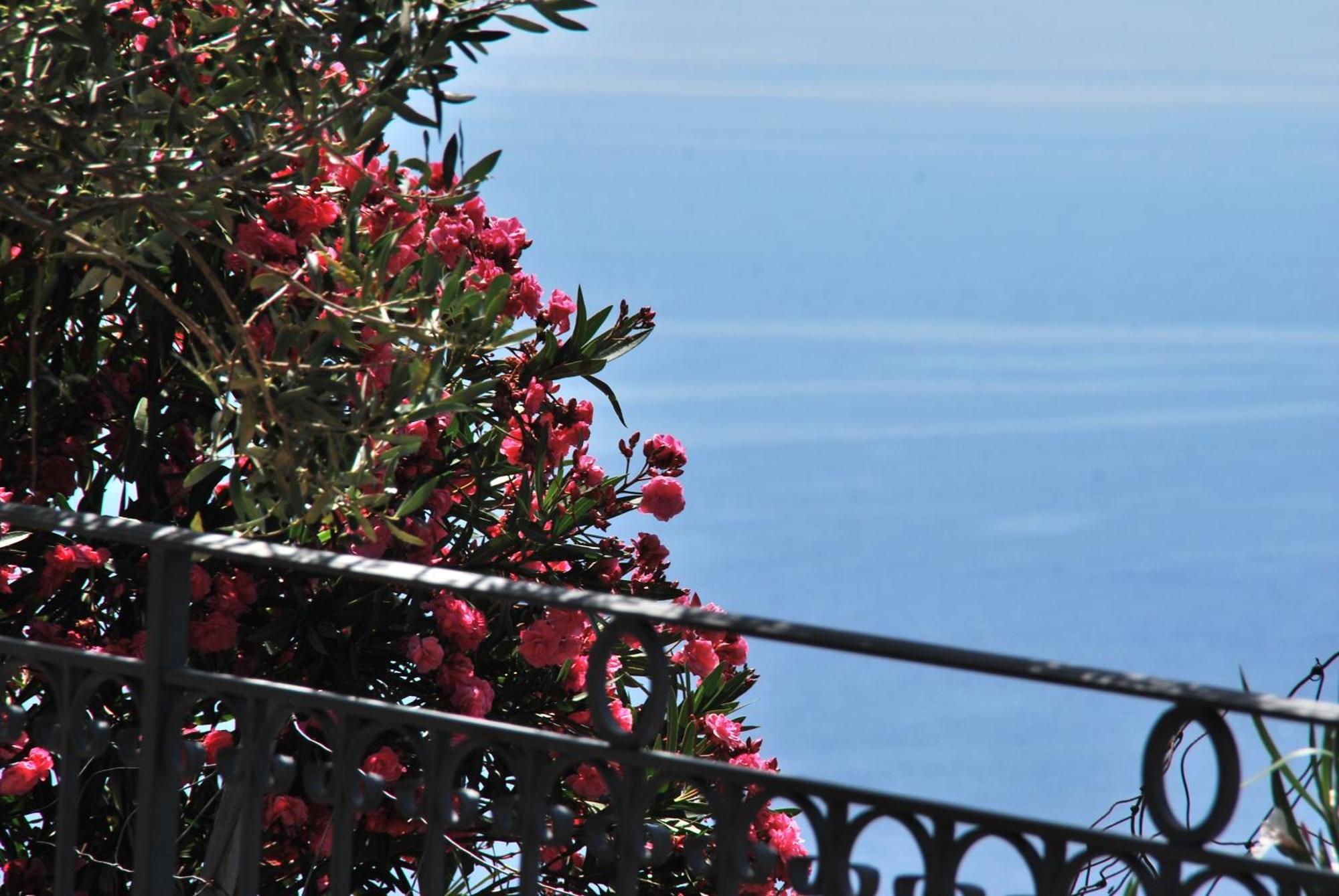 Hotel Turismo Rurale Villa Maria Caterina Cala Gonone Εξωτερικό φωτογραφία